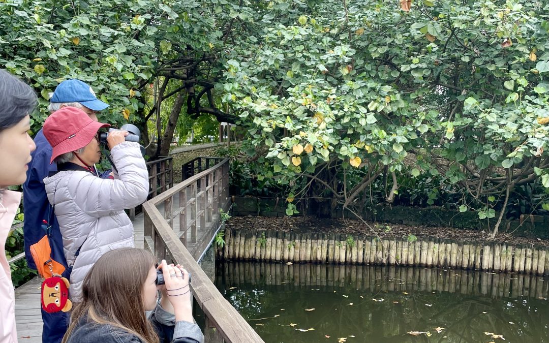 Minding my Birding Business